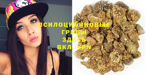 ПСИЛОЦИБИНОВЫЕ ГРИБЫ Абдулино
