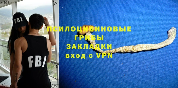 ПСИЛОЦИБИНОВЫЕ ГРИБЫ Абдулино