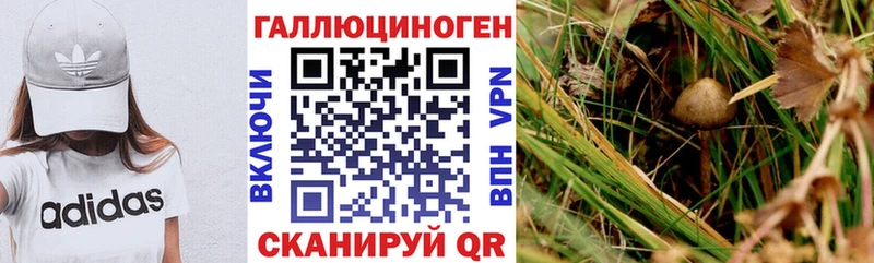 Псилоцибиновые грибы мухоморы Красный Сулин