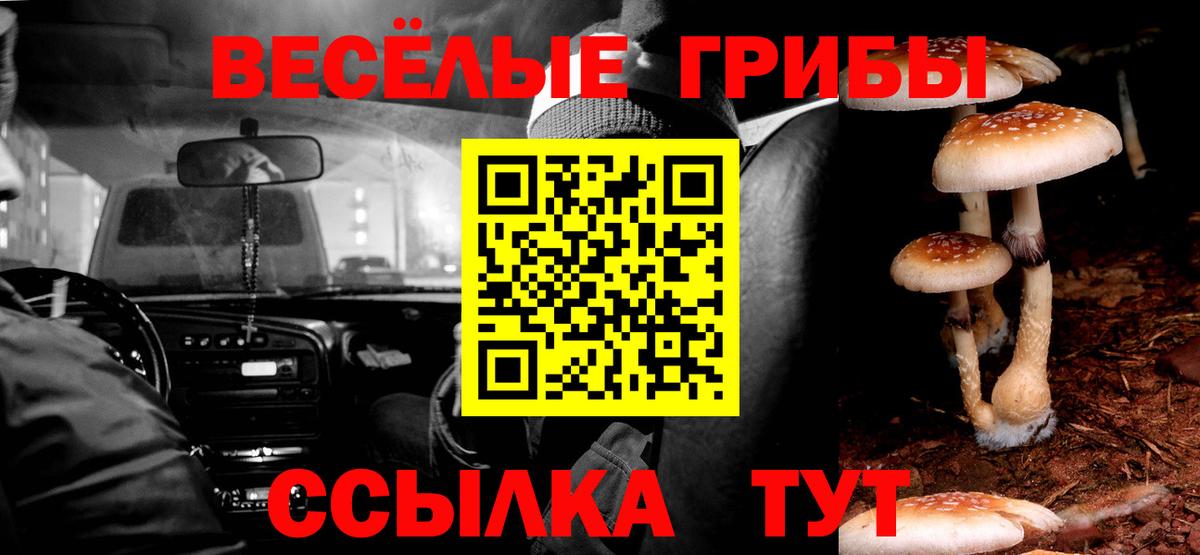 Псилоцибиновые грибы Psilocybine cubensis  Вход с VPN  купить   Красный Сулин 